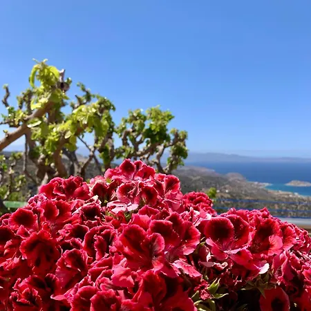 アパート Morea Bay View
